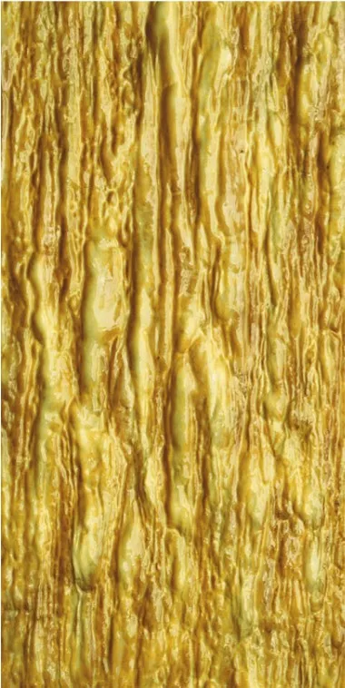 枫木